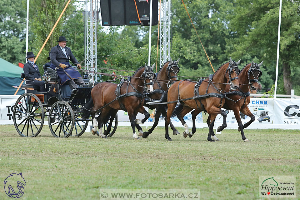 Nebanice 2017 - drezury