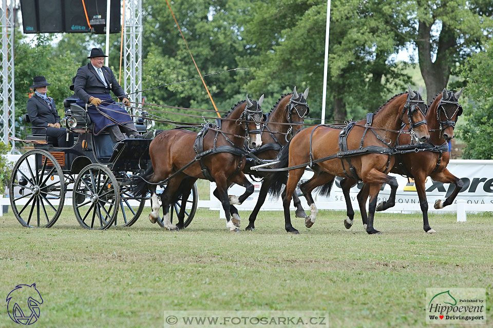 Nebanice 2017 - drezury