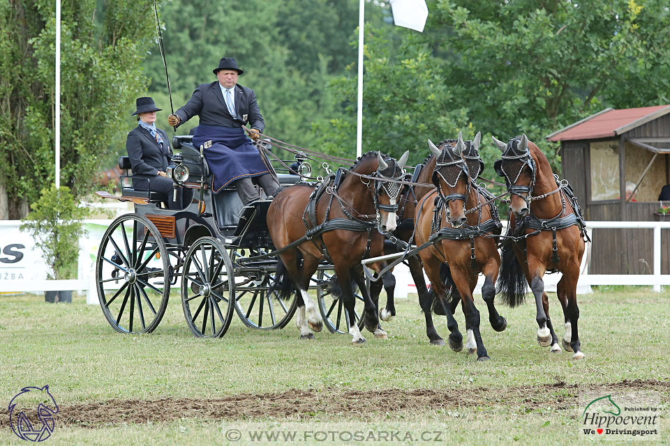 Nebanice 2017 - drezury