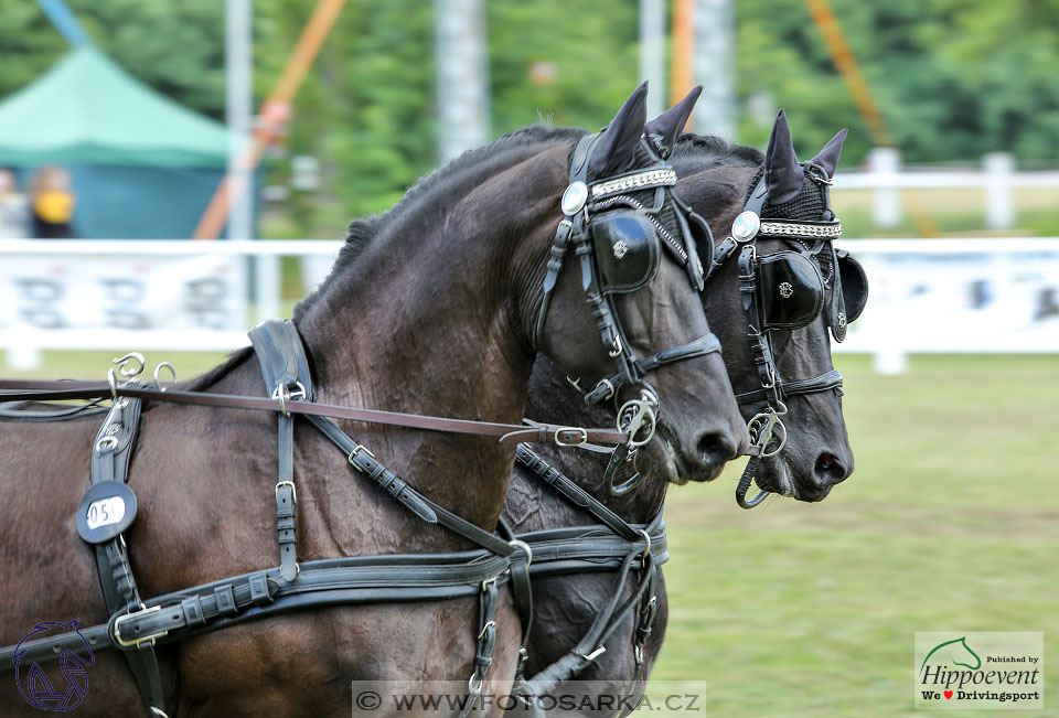 Nebanice 2017 - drezury