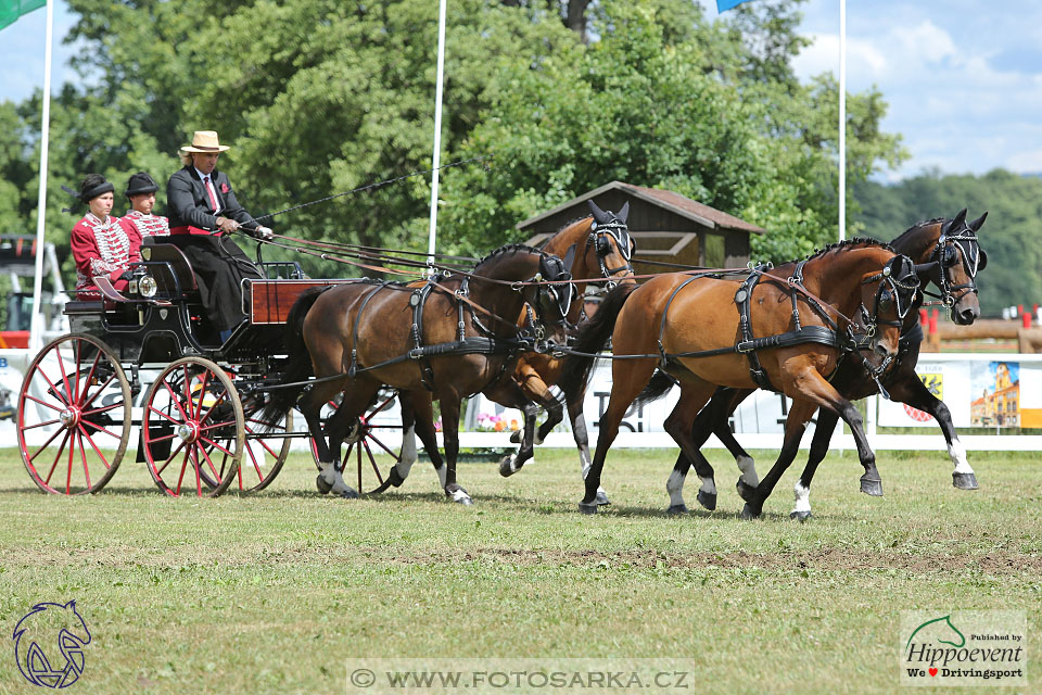 Nebanice 2017 - drezury