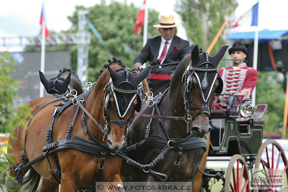 Nebanice 2017 - drezury