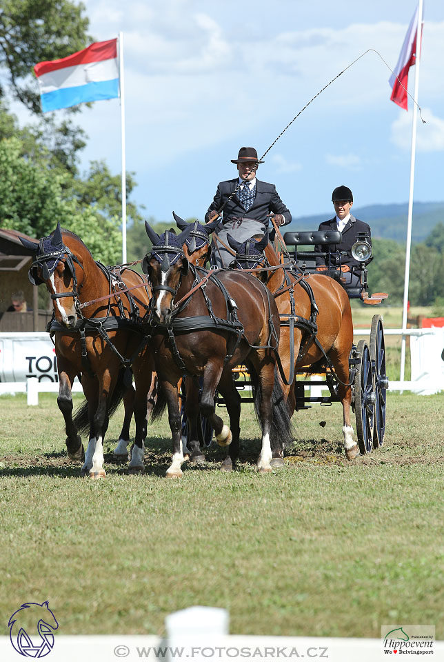 Nebanice 2017 - drezury