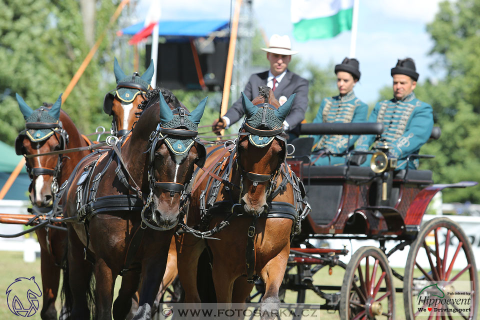 Nebanice 2017 - drezury