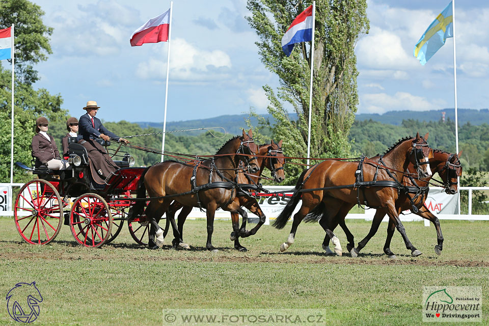 Nebanice 2017 - drezury