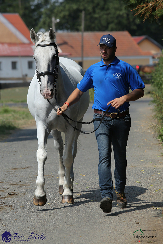 Nebanice - kodičky