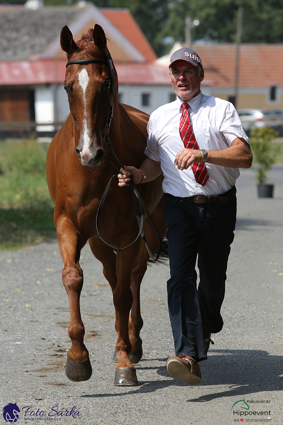 Nebanice - kodičky