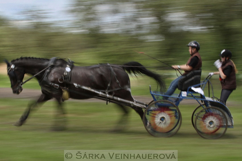 Panning