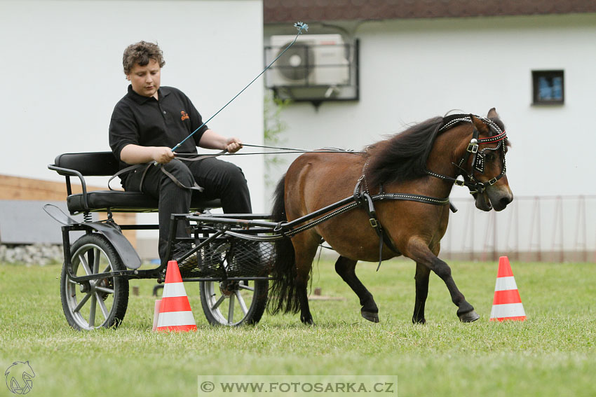 Podzámecká výstava