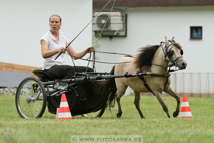 Podzámecká výstava