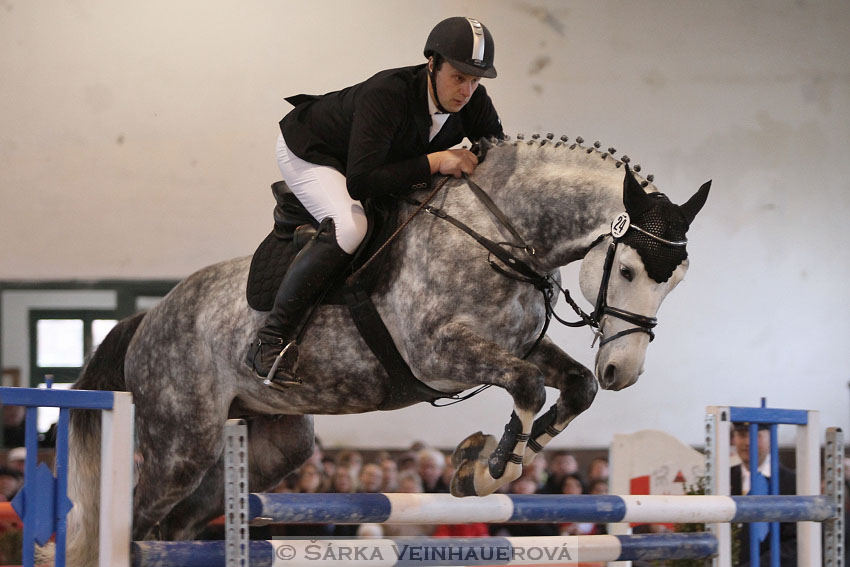 Přehlídka plemenných hřebců