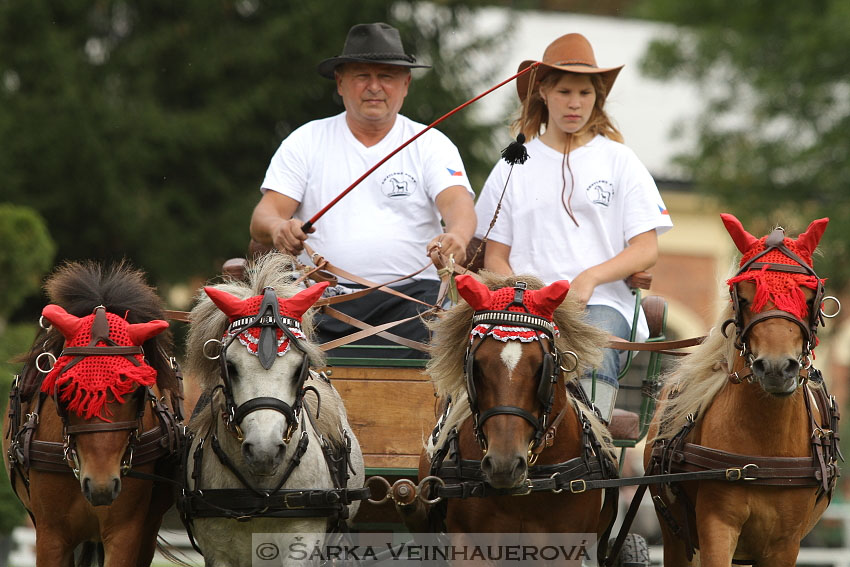 Quadriga