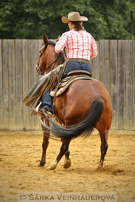 Reining