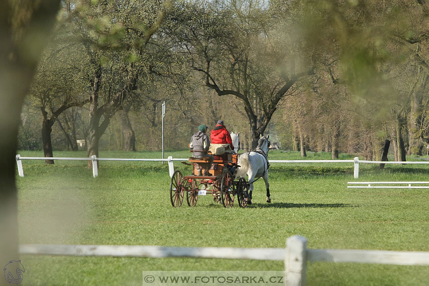 Rudolfův pohár 2016 - 2.den