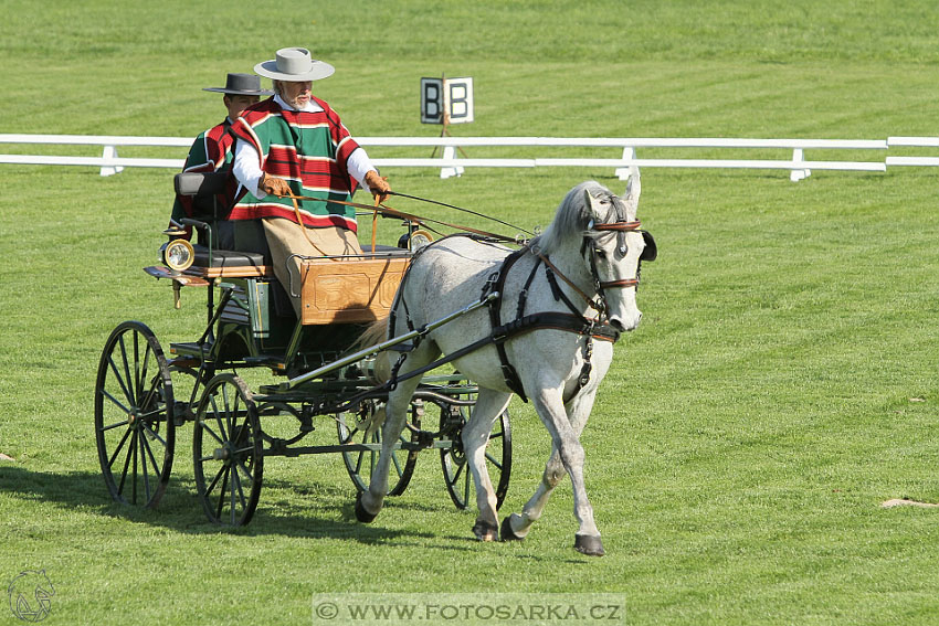 Rudolfův pohár 2016 - 2.den