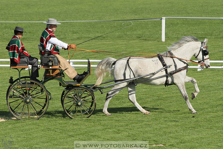 Rudolfův pohár 2016 - 2.den