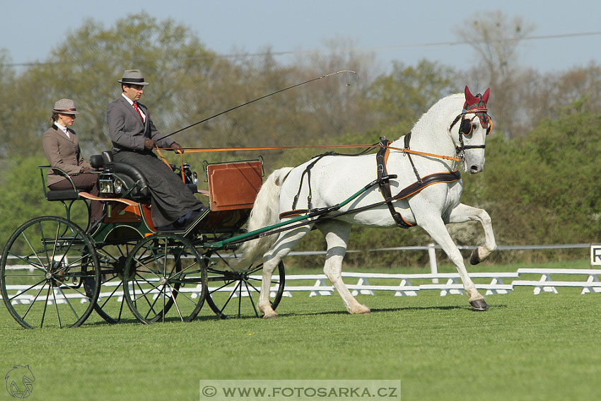 Rudolfův pohár 2016 - 2.den