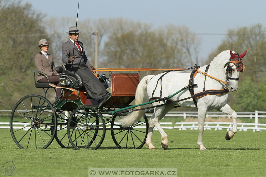 Rudolfův pohár 2016 - 2.den