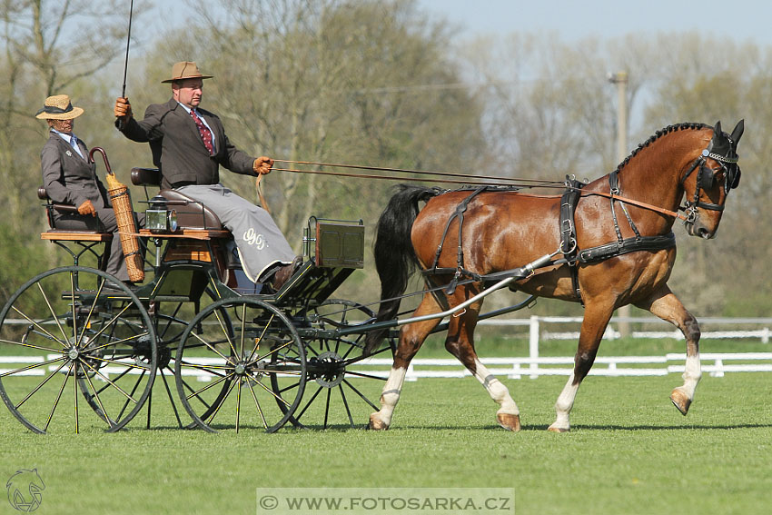Rudolfův pohár 2016 - 2.den