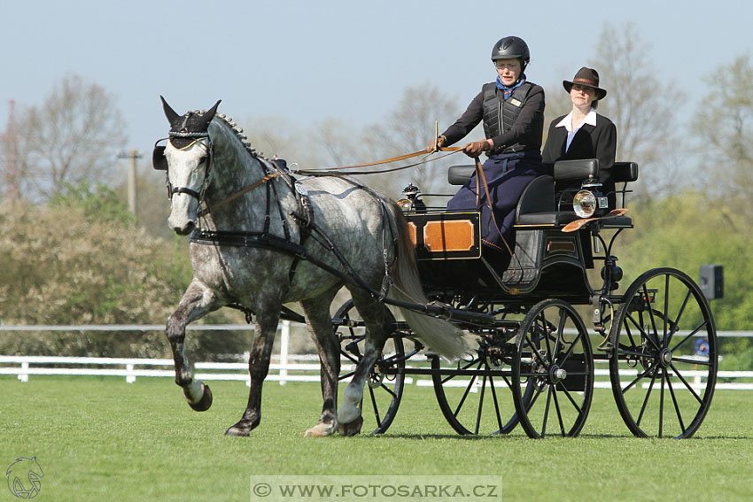 Rudolfův pohár 2016 - 2.den