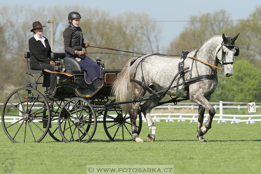 Rudolfův pohár 2016 - 2.den