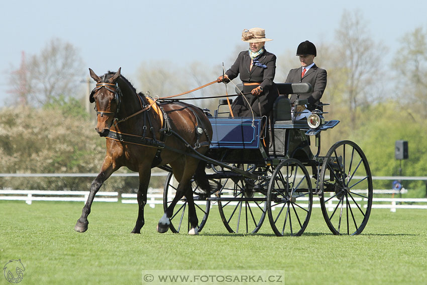 Rudolfův pohár 2016 - 2.den