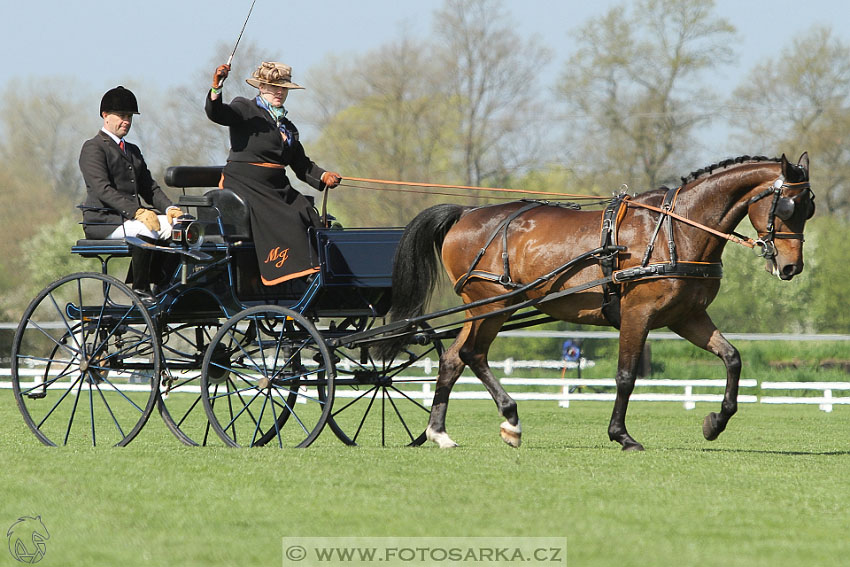 Rudolfův pohár 2016 - 2.den