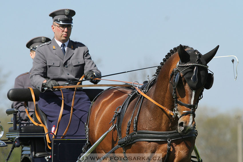 Rudolfův pohár 2016 - 2.den