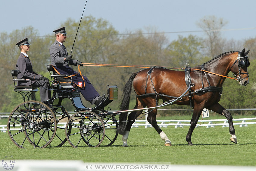 Rudolfův pohár 2016 - 2.den