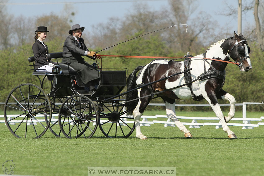 Rudolfův pohár 2016 - 2.den