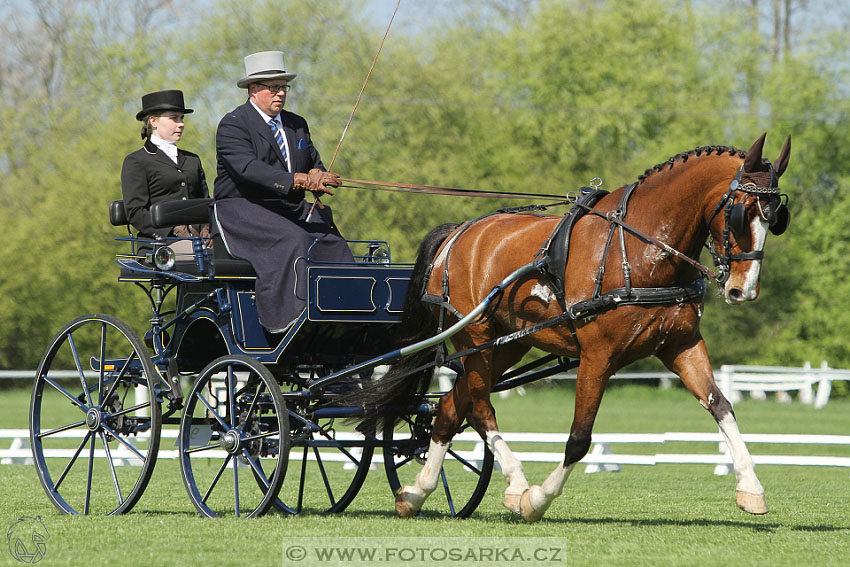Rudolfův pohár 2016 - 2.den