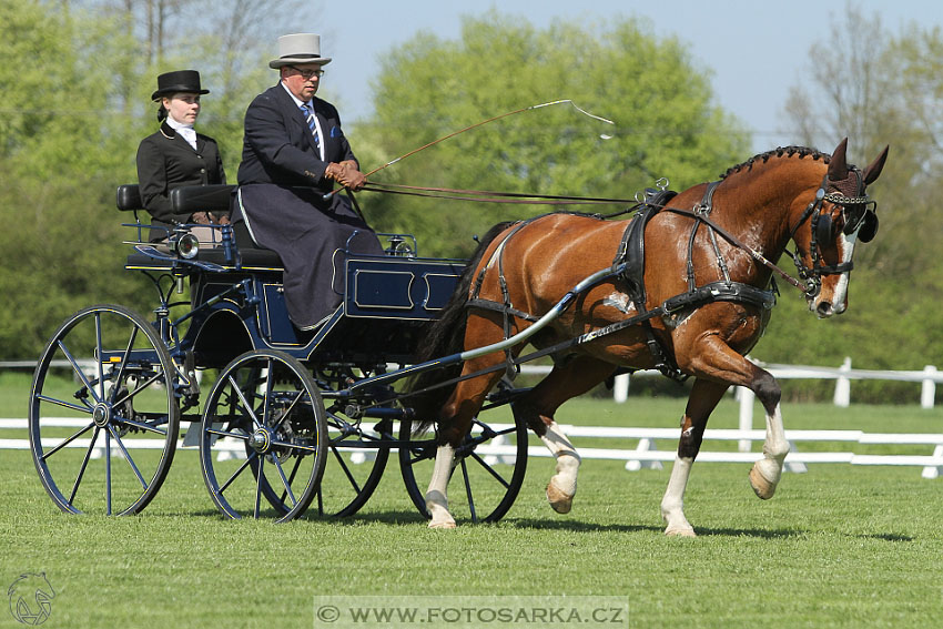 Rudolfův pohár 2016 - 2.den