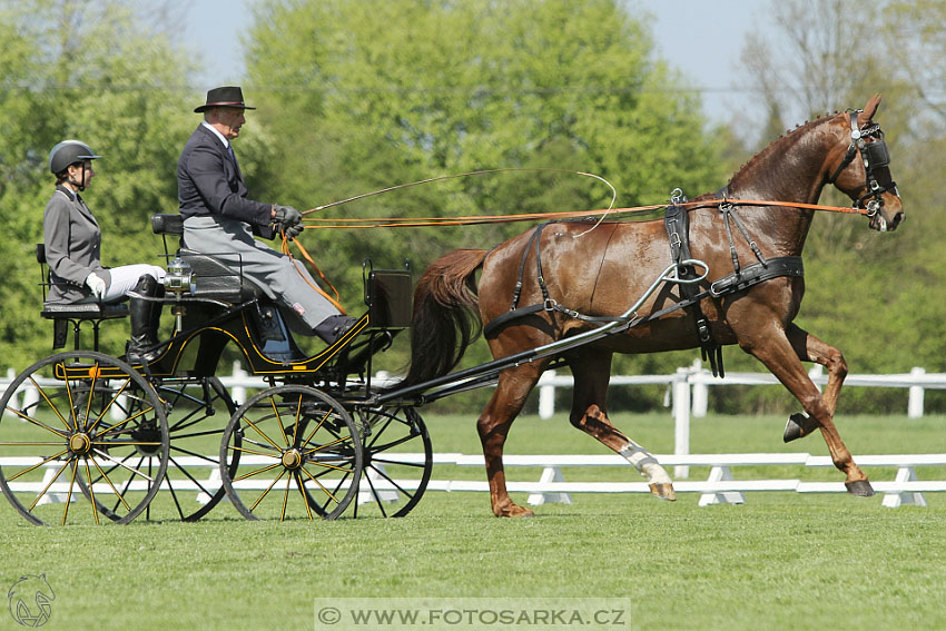 Rudolfův pohár 2016 - 2.den