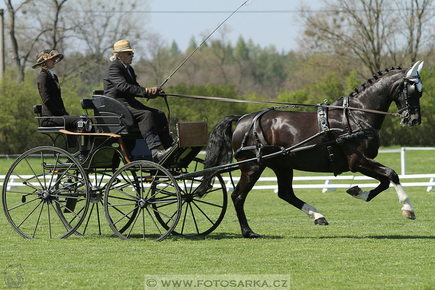Rudolfův pohár 2016 - 2.den