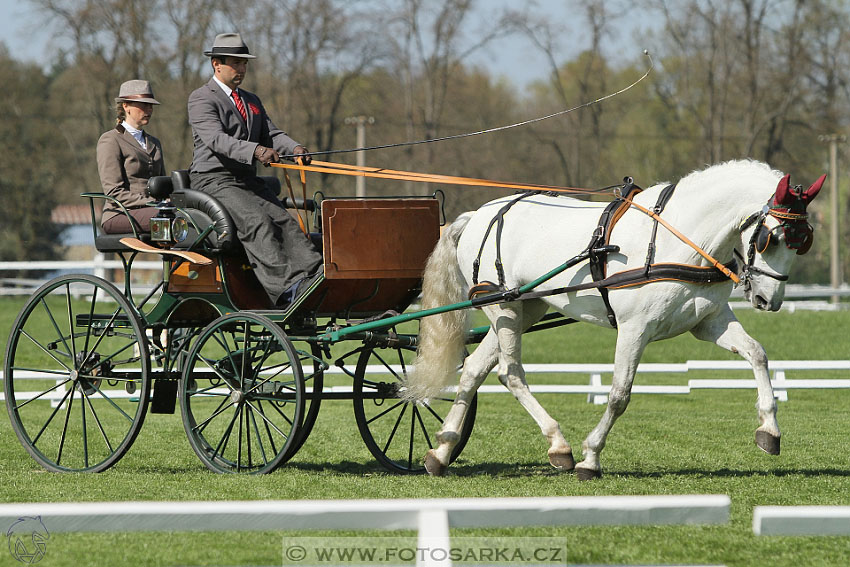Rudolfův pohár 2016 - 2.den