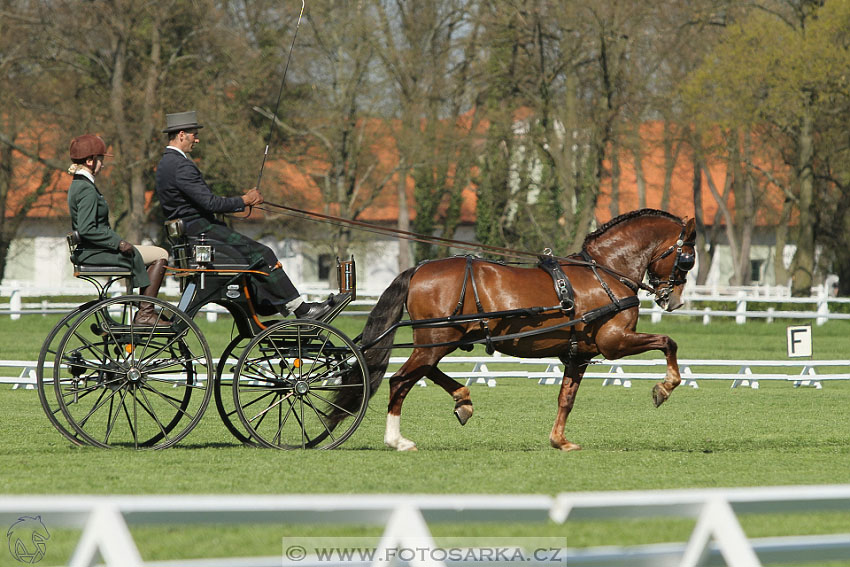 Rudolfův pohár 2016 - 2.den