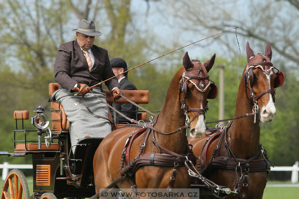 Rudolfův pohár 2016 - 3.den