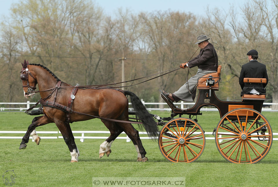 Rudolfův pohár 2016 - 3.den