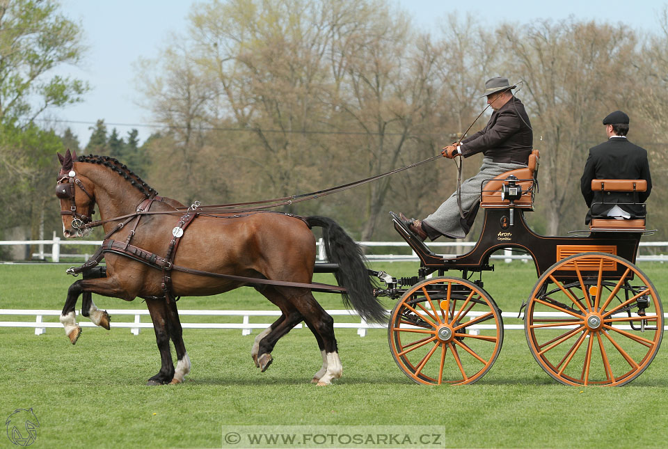 Rudolfův pohár 2016 - 3.den