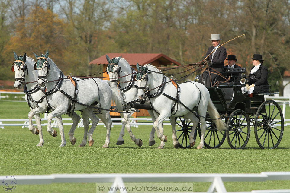 Rudolfův pohár 2016 - 3.den