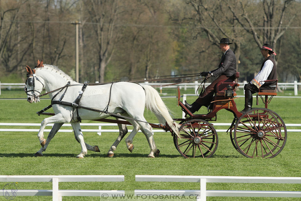 Rudolfův pohár 2016 - 3.den