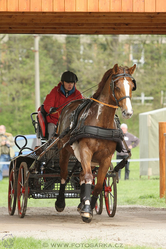 Rudolfův pohár 2016 - 4.den