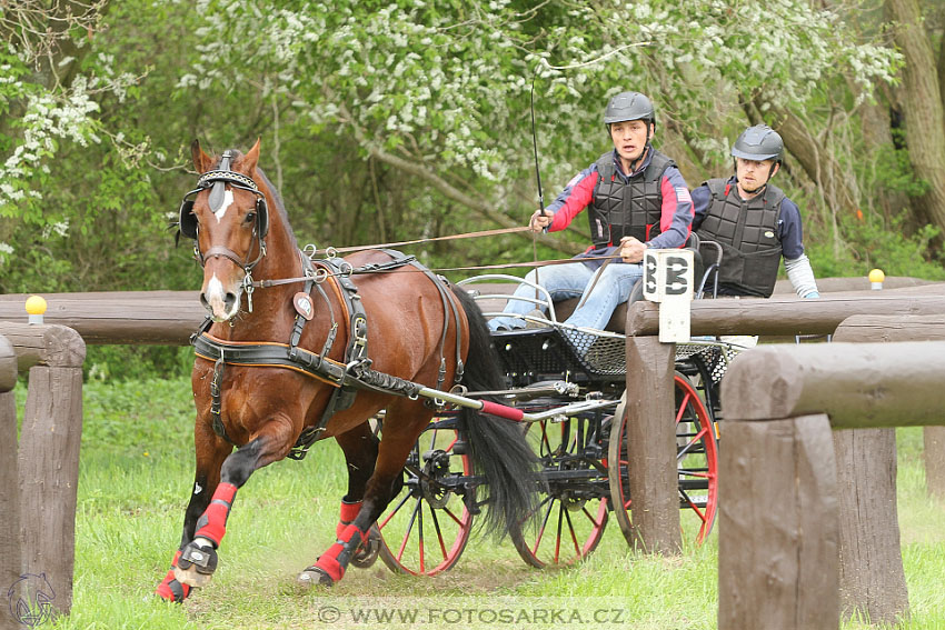 Rudolfův pohár 2016 - 4.den