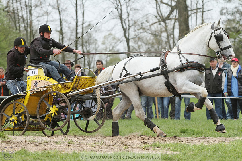 Rudolfův pohár 2016 - 4.den