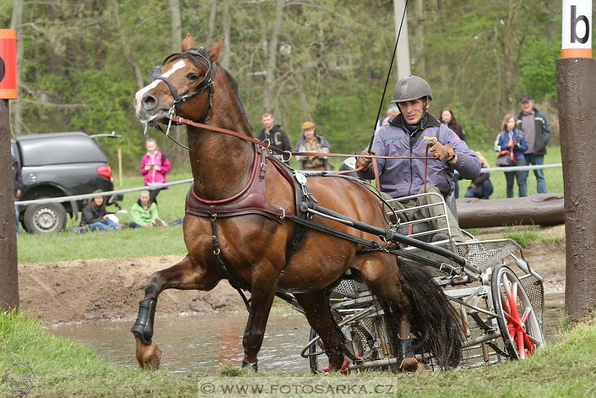 Rudolfův pohár 2016 - 4.den