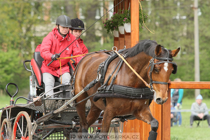 Rudolfův pohár 2016 - 4.den