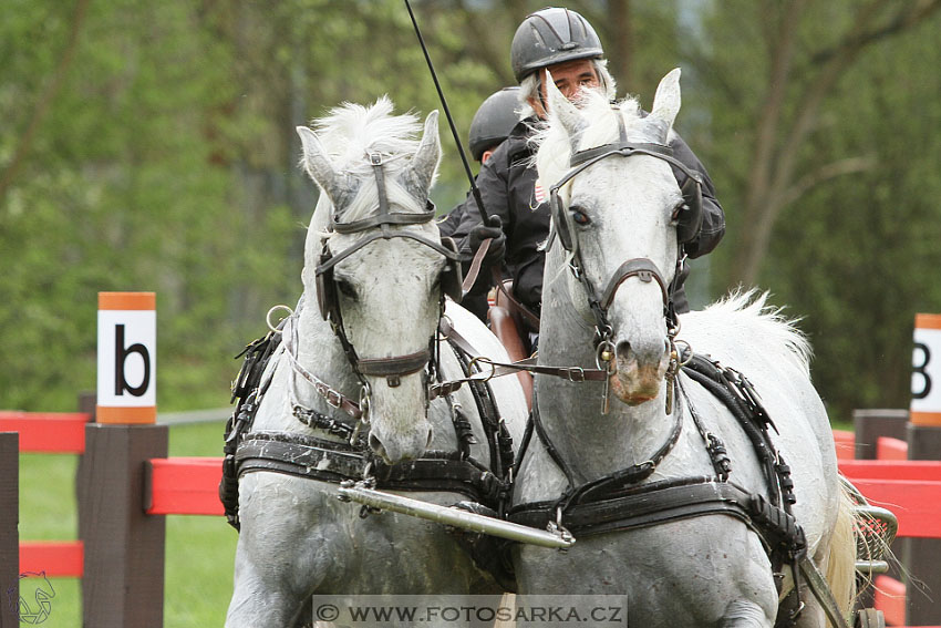 Rudolfův pohár 2016 - 4.den