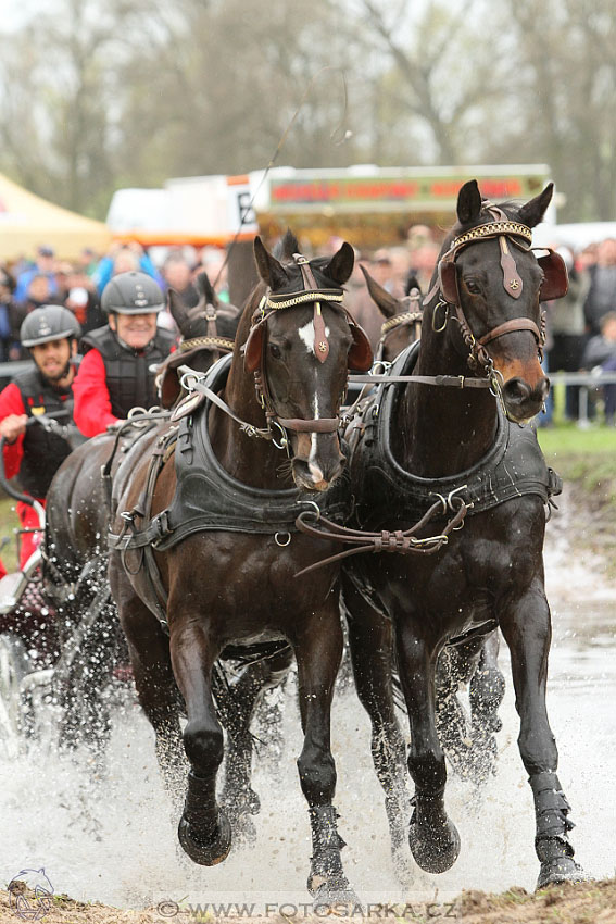 Rudolfův pohár 2016 - 4.den