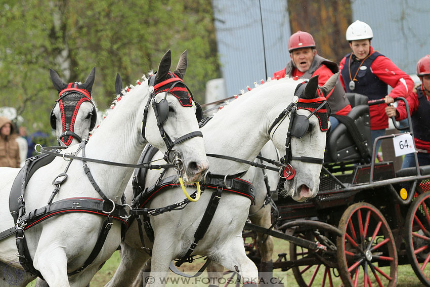 Rudolfův pohár 2016 - 4.den