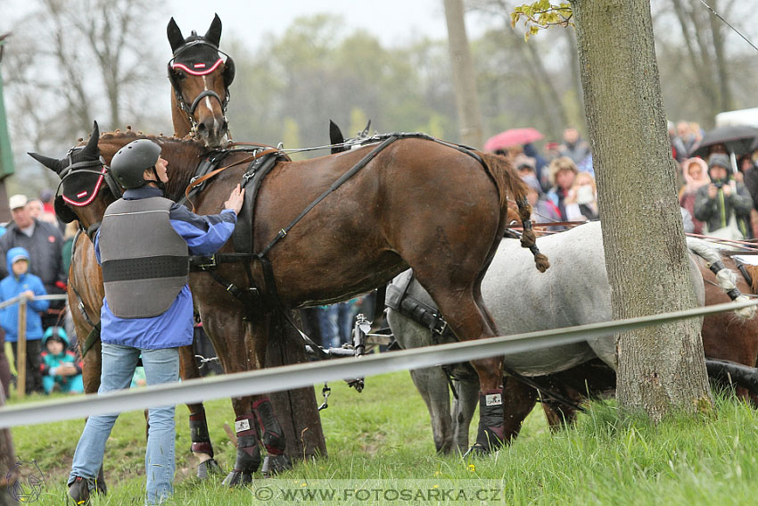 Rudolfův pohár 2016 - 4.den